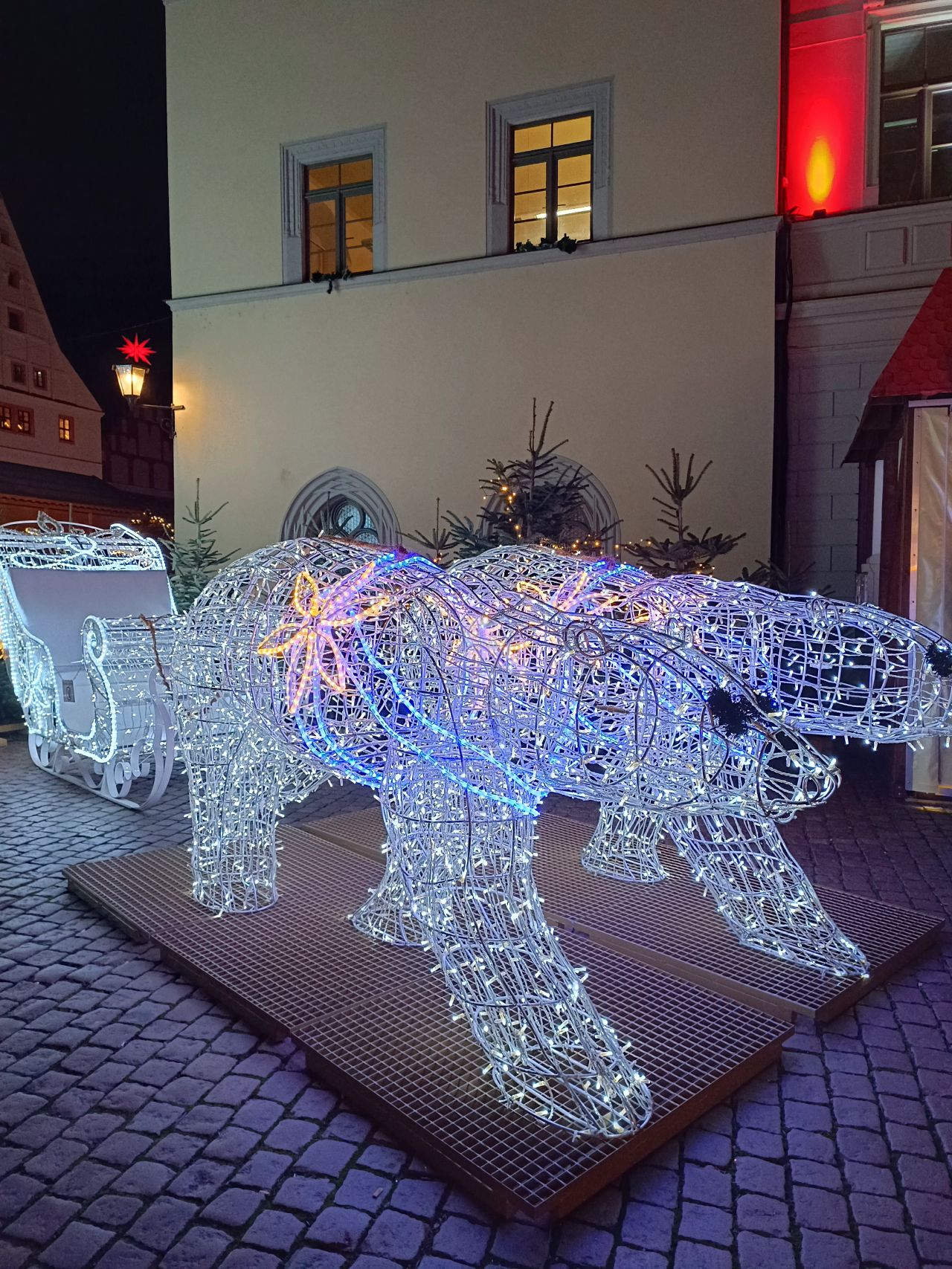 Ausflüge und Veranstaltungen bei Pflegefokus Dresden GmbH Canalettomarkt in Pirna