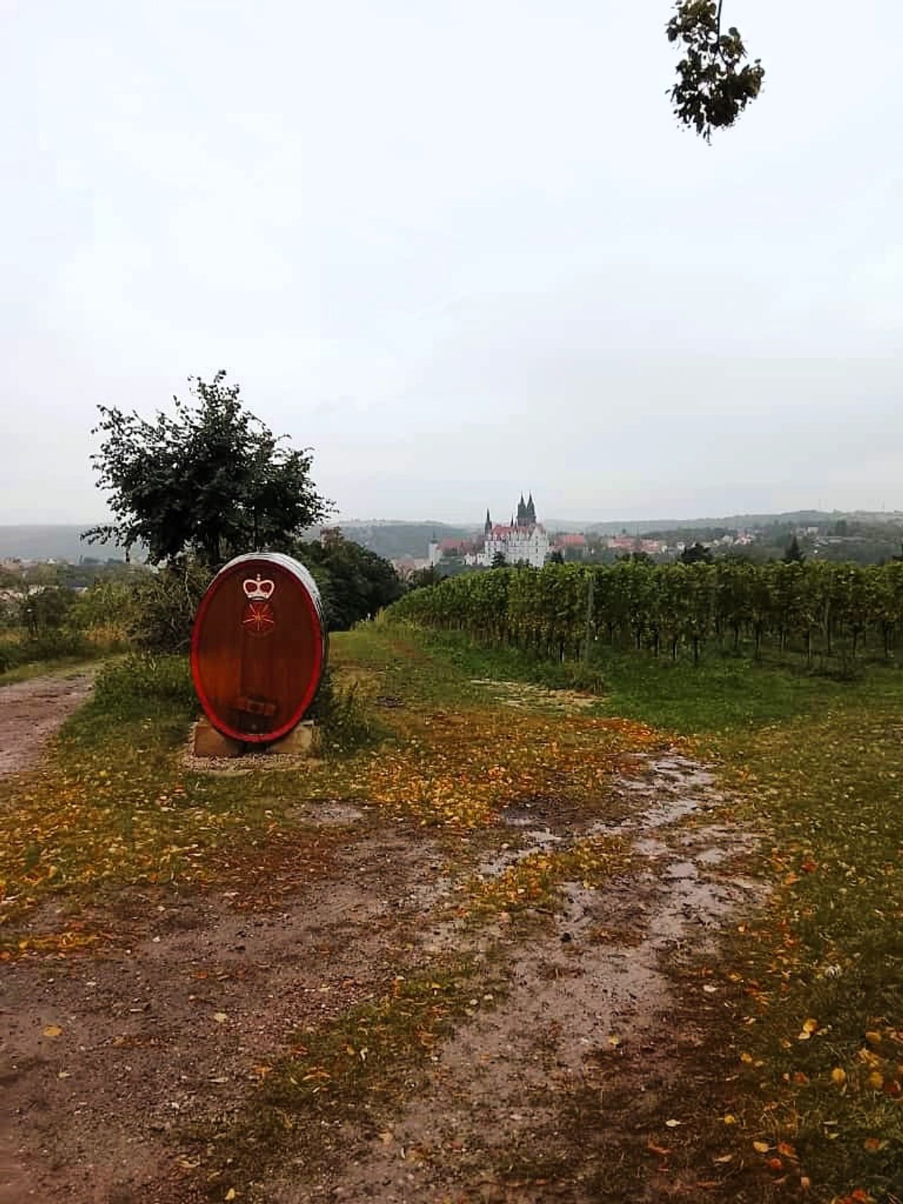 Ausflüge und Veranstaltungen bei Pflegefokus Dresden GmbH Ausflug entlang der Weinstraße nach Diesbar-Seußlitz